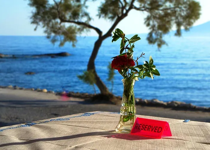 Sunset איוס פרוקופיוס